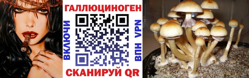 Галлюциногенные грибы GOLDEN TEACHER  Купить где  Ак-Довурак